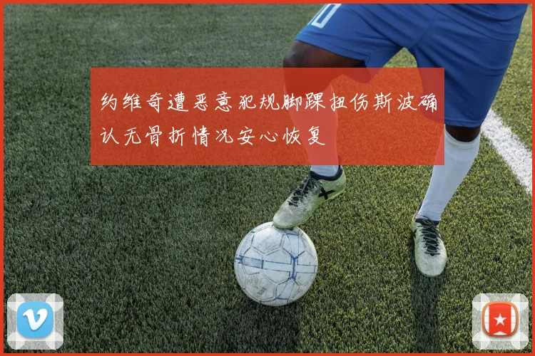 约维奇遭恶意犯规脚踝扭伤斯波确认无骨折情况安心恢复